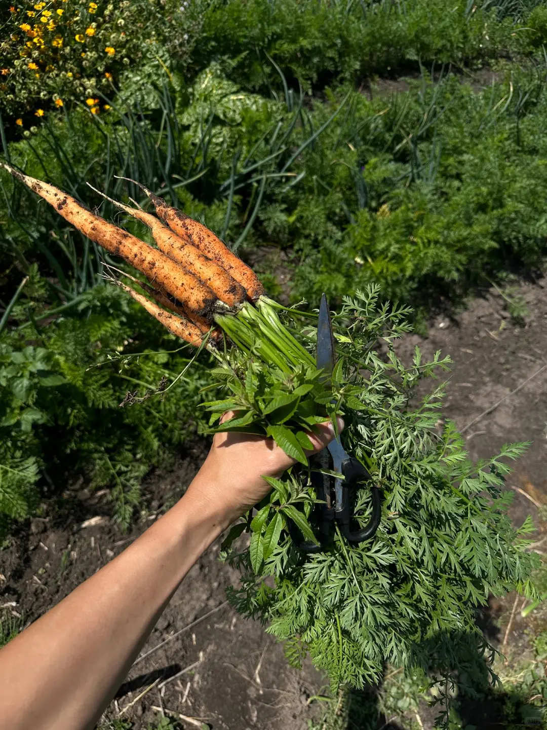 这是我们对土地的回应！