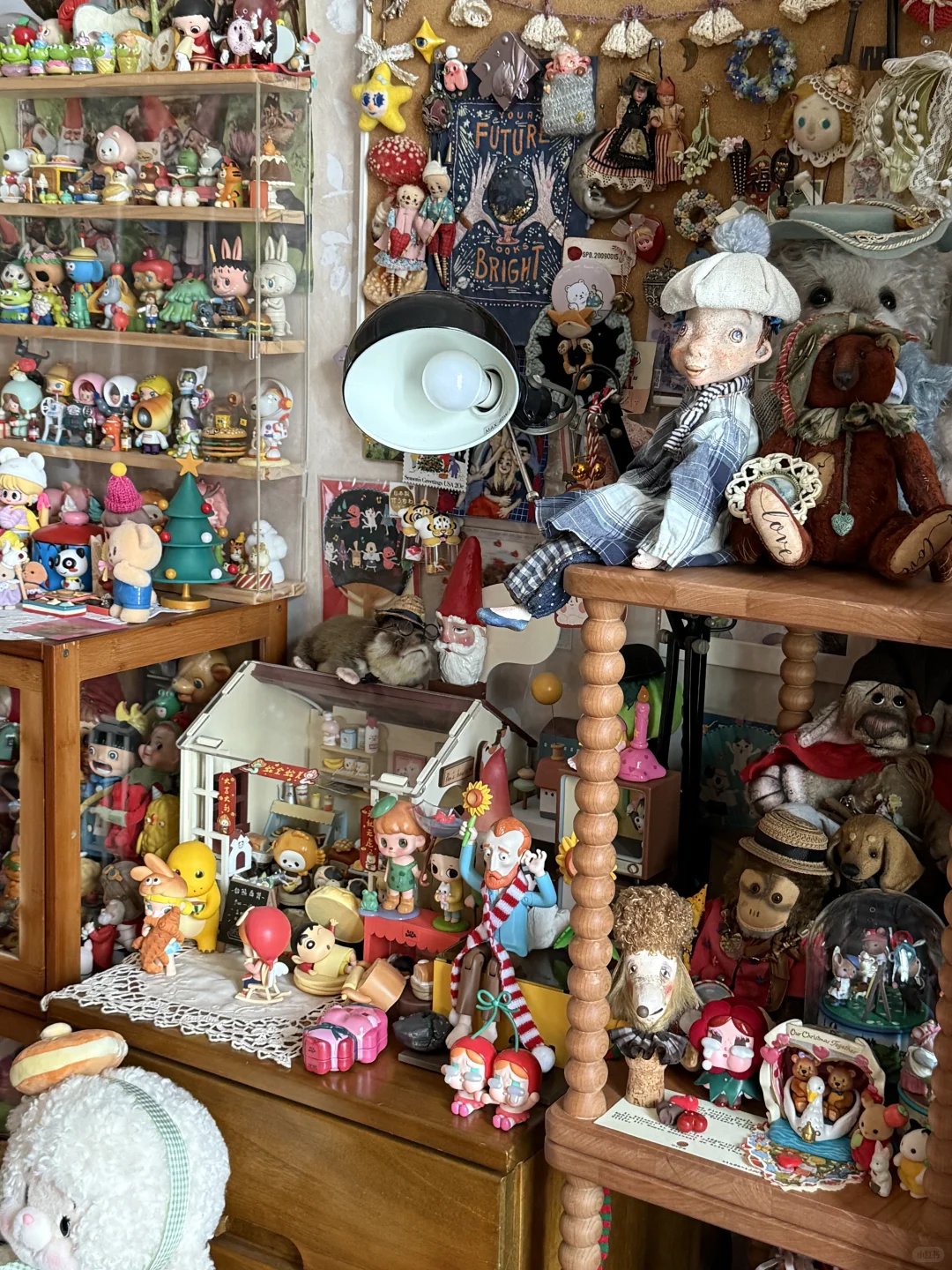 ?珍奇屋｜我家奇奇怪怪的玩物收藏?