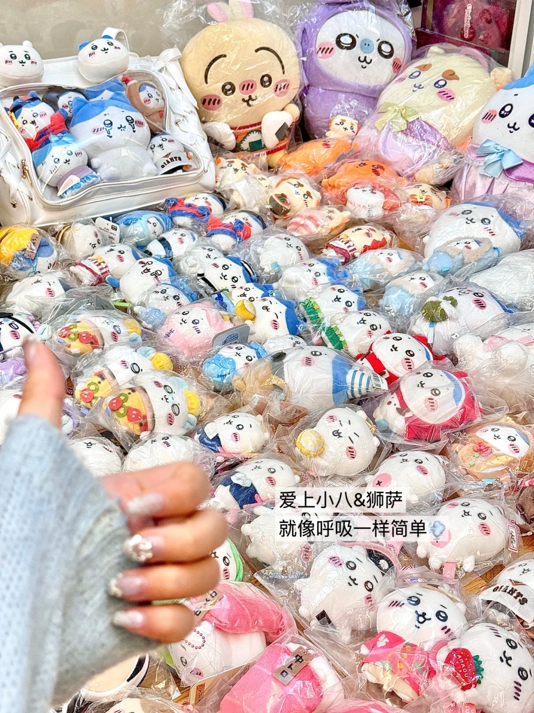 入坑chiikawa俩月买了200多个?谁来管管我