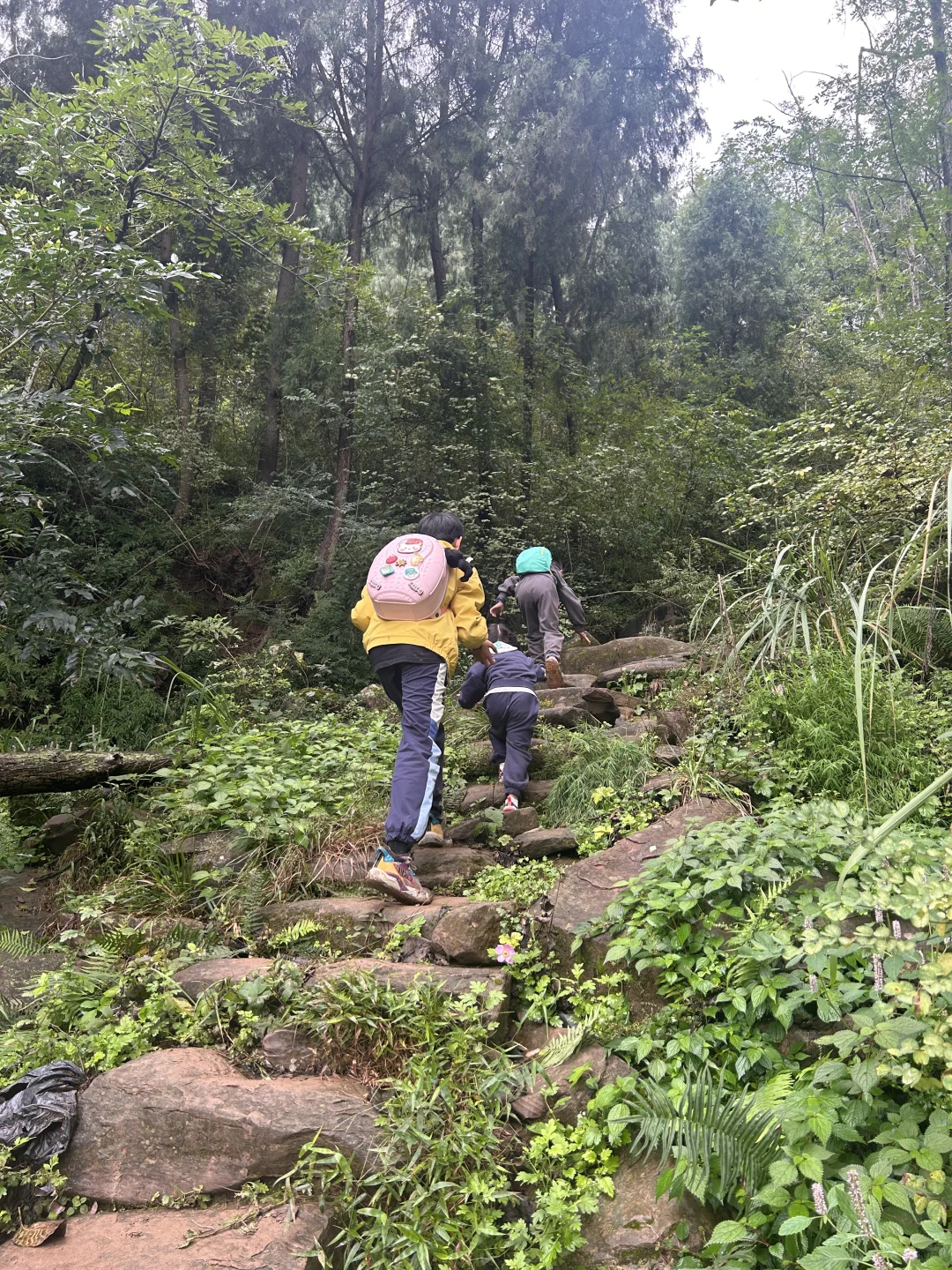 去见⛰️2025年10月26日 金堂梨花沟
