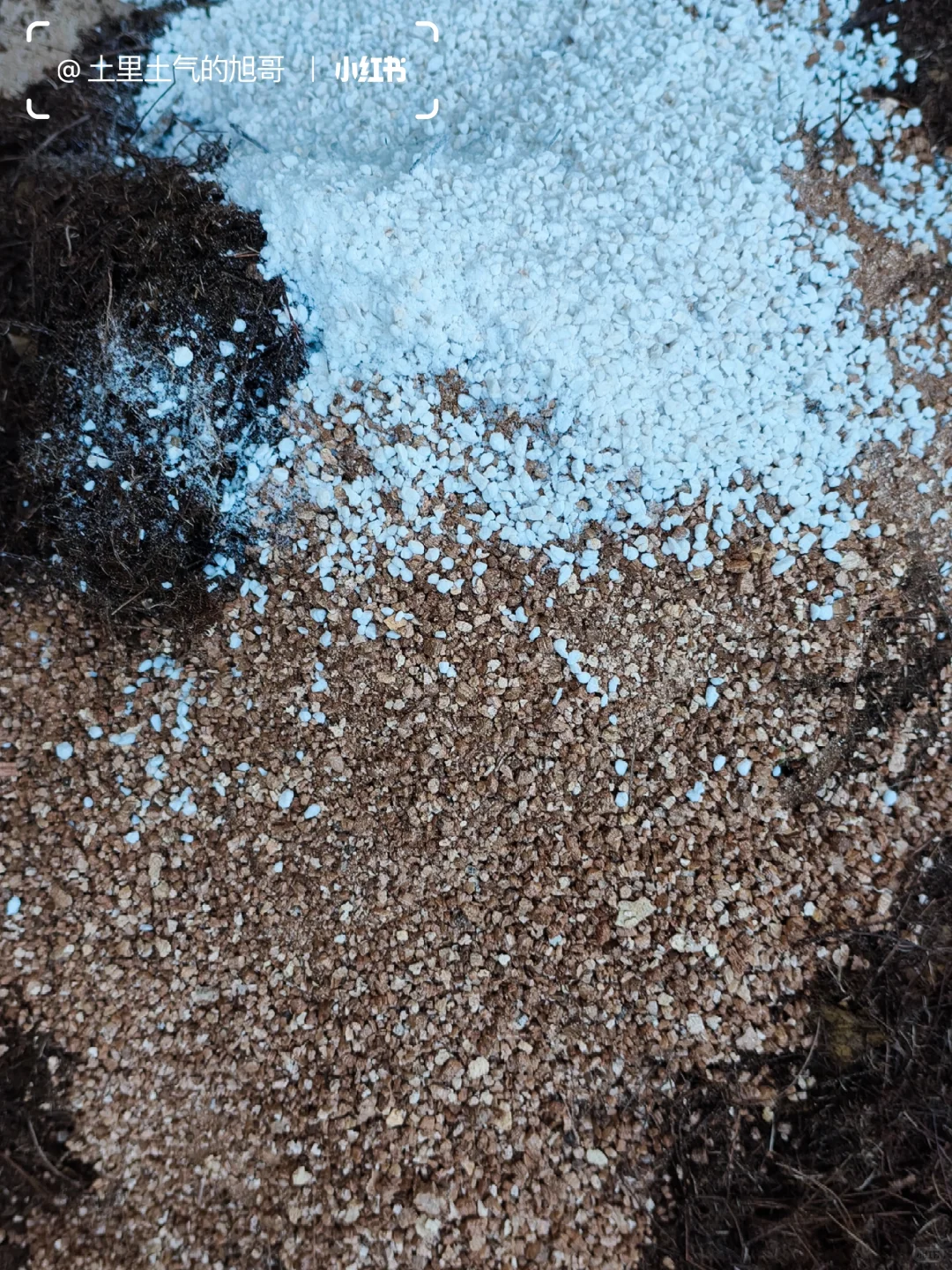 旧土翻新术0成本救活废土&灭虫养土搞定