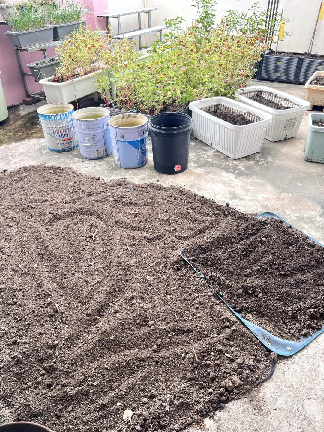 旧土如何变成更好的肥土❓