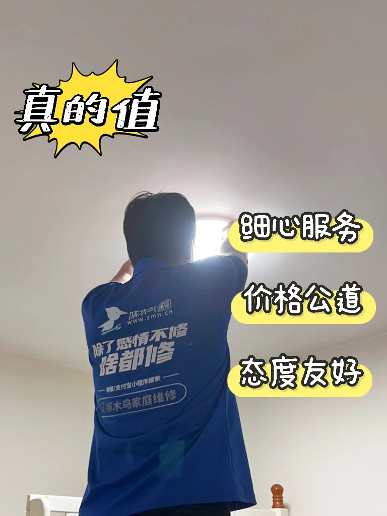 啄木鸟上门修电路,安全又省心?