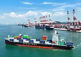 海运物流到底适合运啥？看完秒懂！