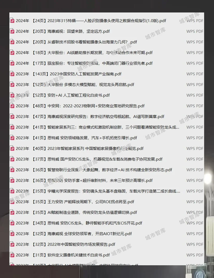 安防行业报告2025人工智能与视频监控市场趋