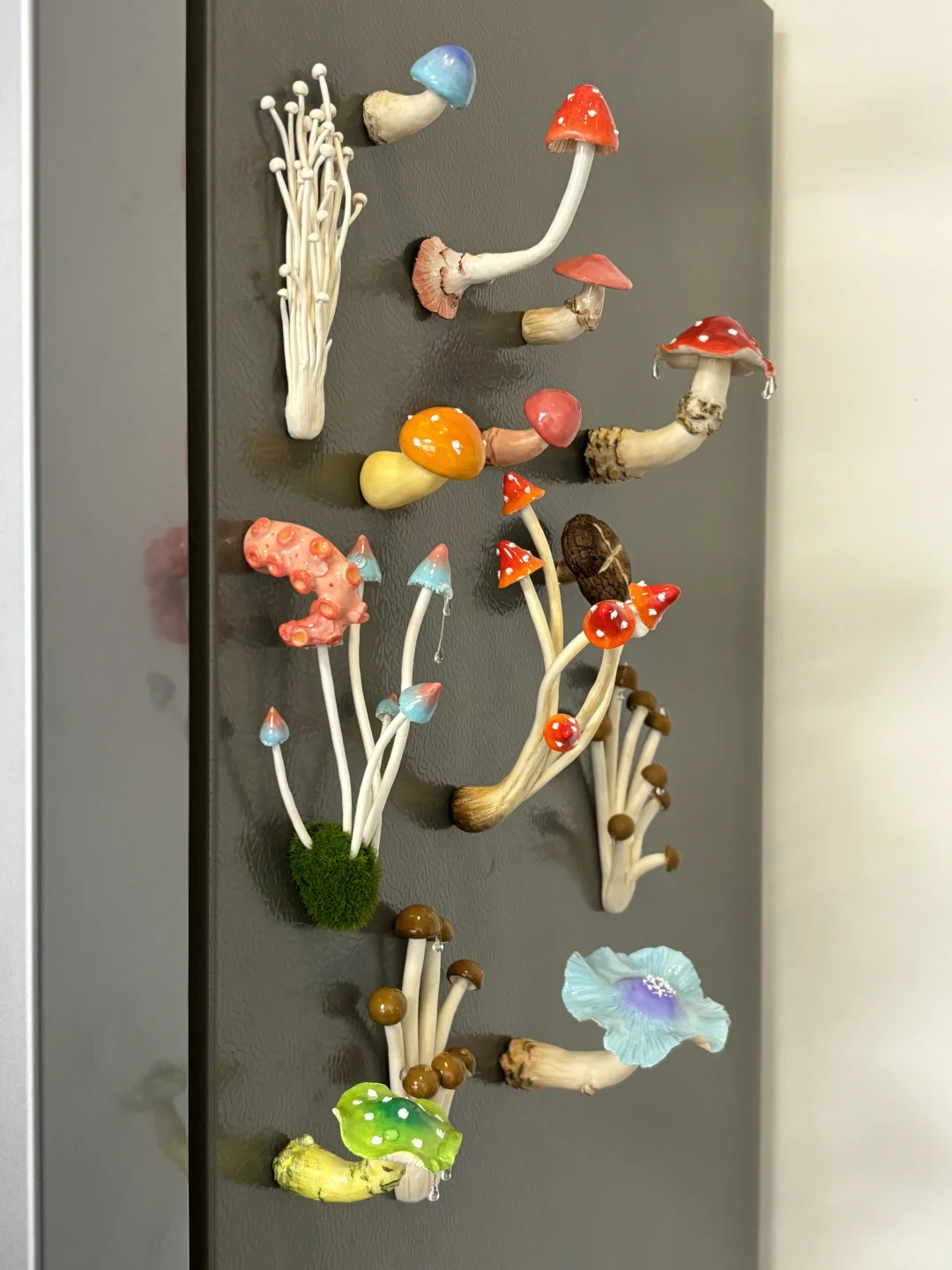 蘑菇蘑菇??冰箱怎么长蘑菇了?(第二弹)