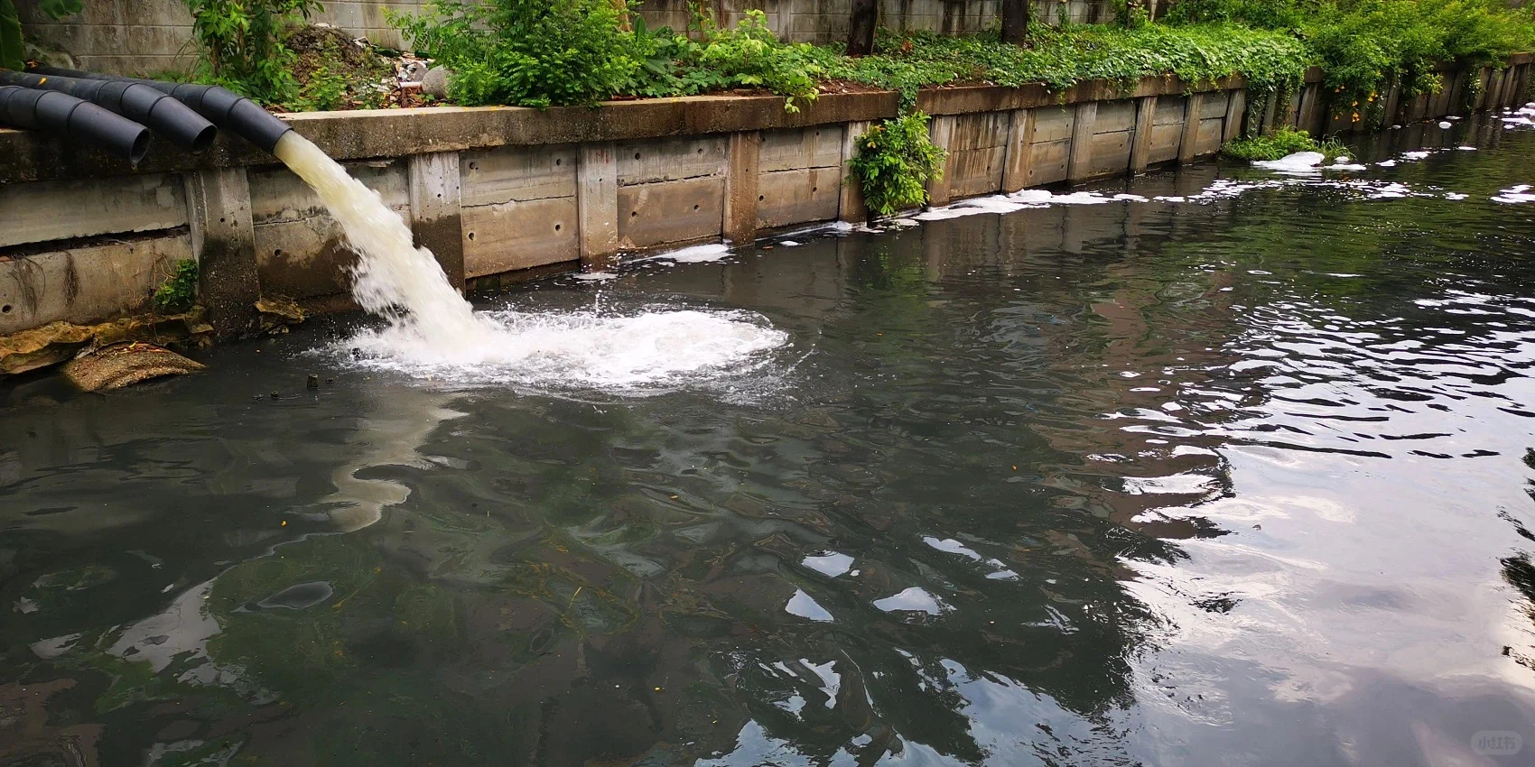 黑臭河道治理技术 ，要点在于生态修复