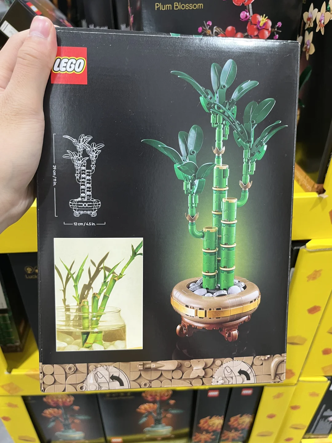 卧卧卧！！山姆新品玩具集合篇！10月12日版本