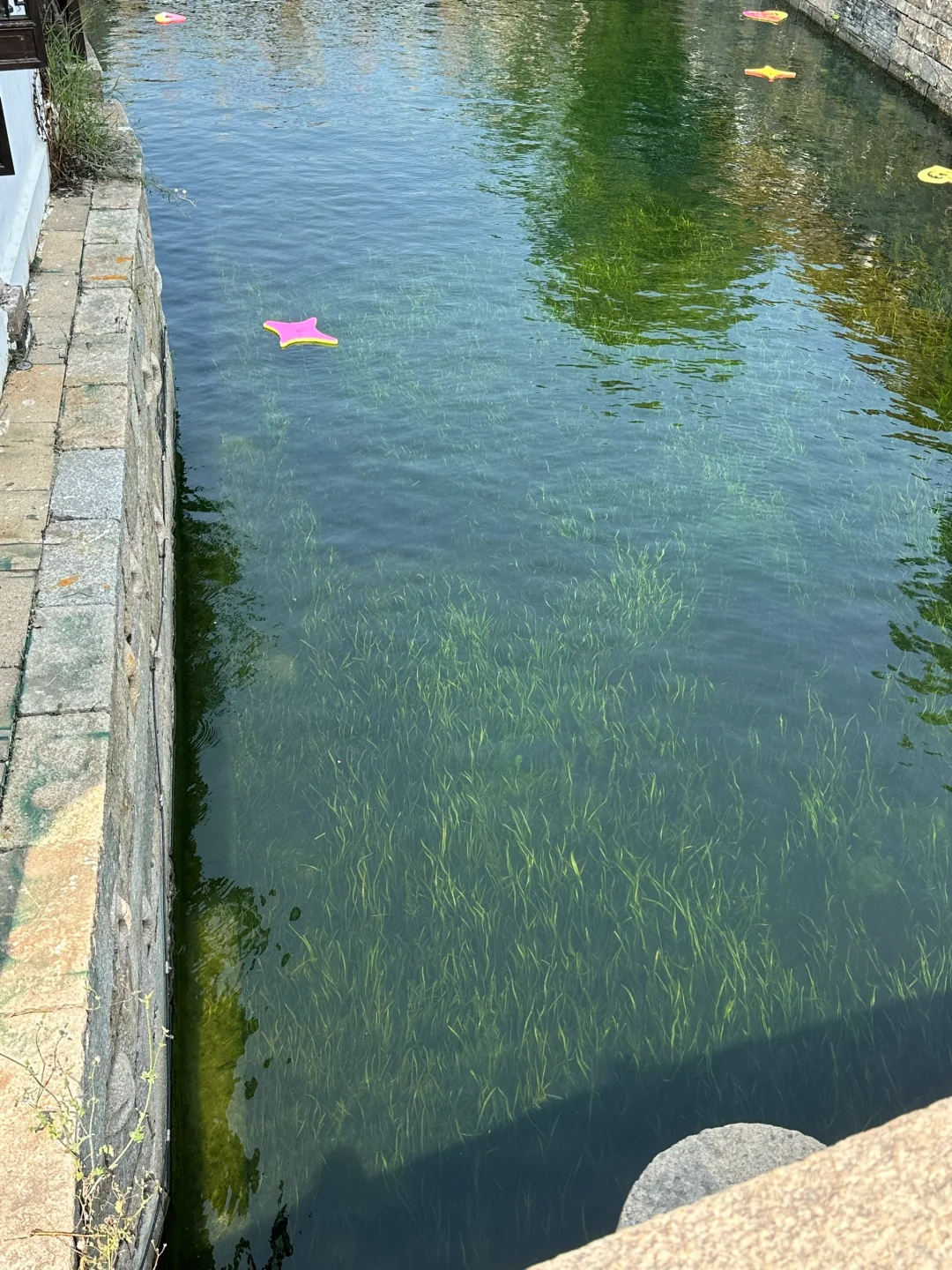 live｜无滤镜江南果冻河，有“科技”也有狠活！