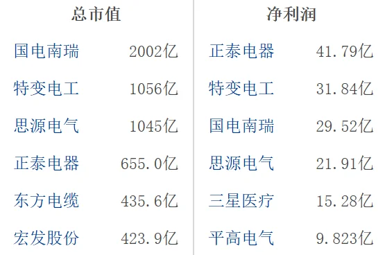 大A电网设备龙头