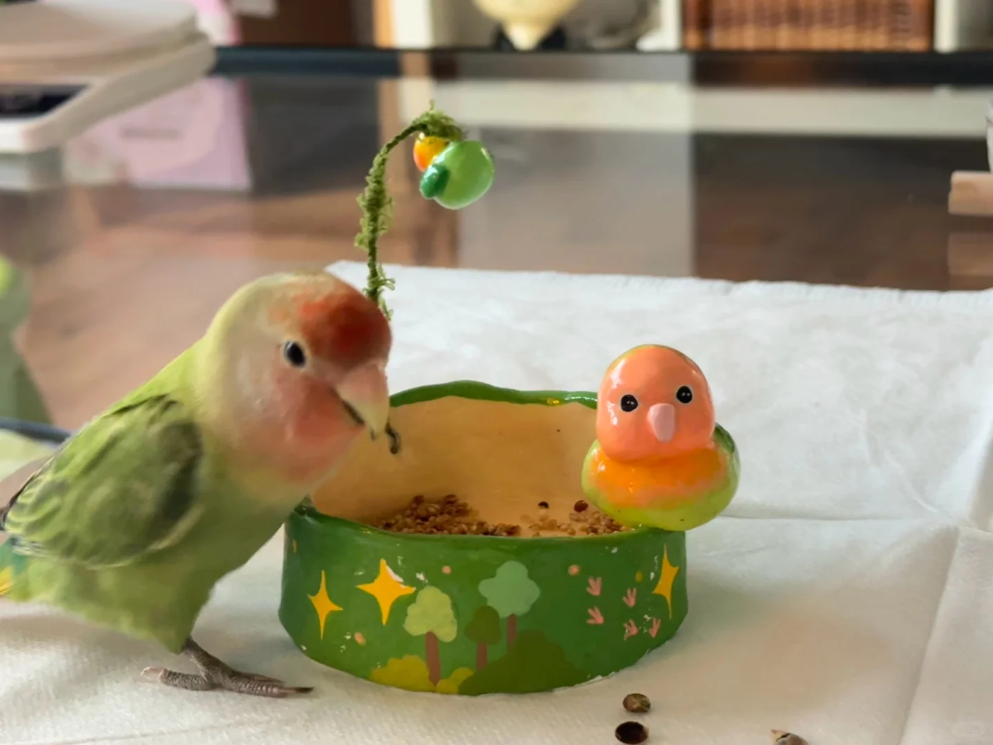 小鸟食盆大成功！