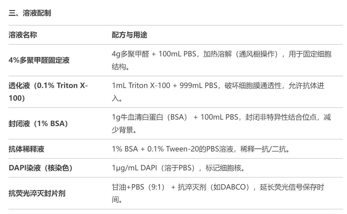 ?细胞免疫荧光实验超全攻略|新手必看✨