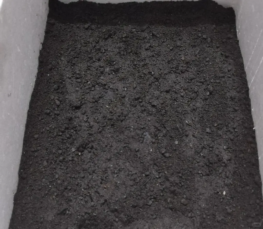 再说毒营养土和工业废土，看图学鉴别