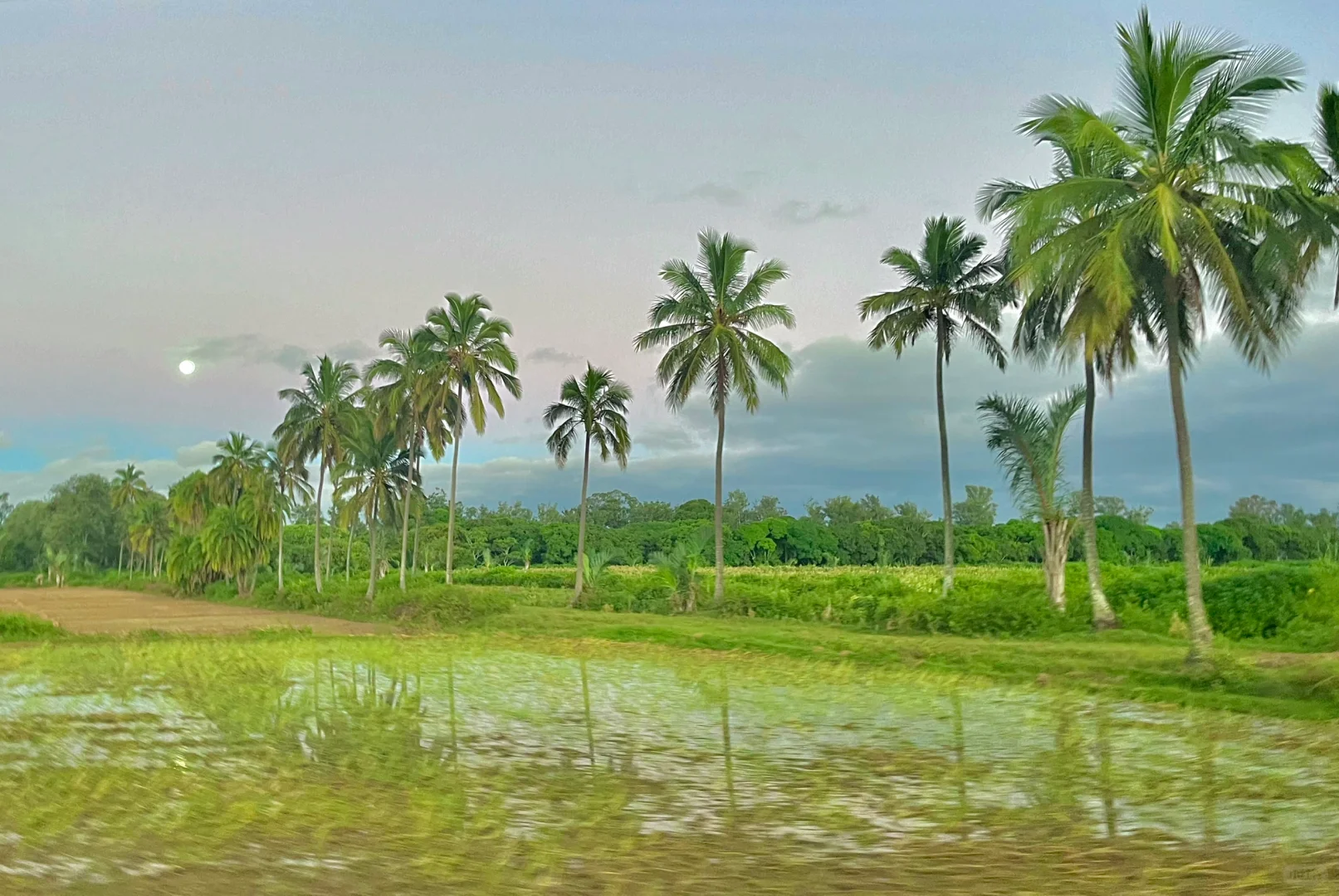入行两年，生态保护的理想和痛苦的现实