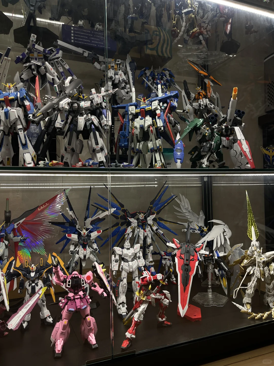 终于完成梦想有一个自己的高达展柜