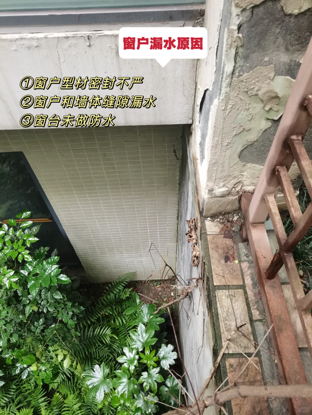 内行人曝光?房屋漏水维修方案【大神版】