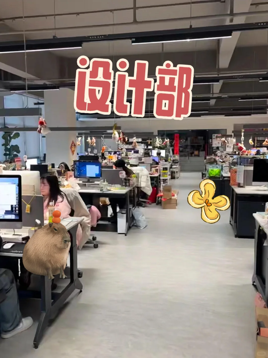 公司新来的平面设计师，她真的太棒了?