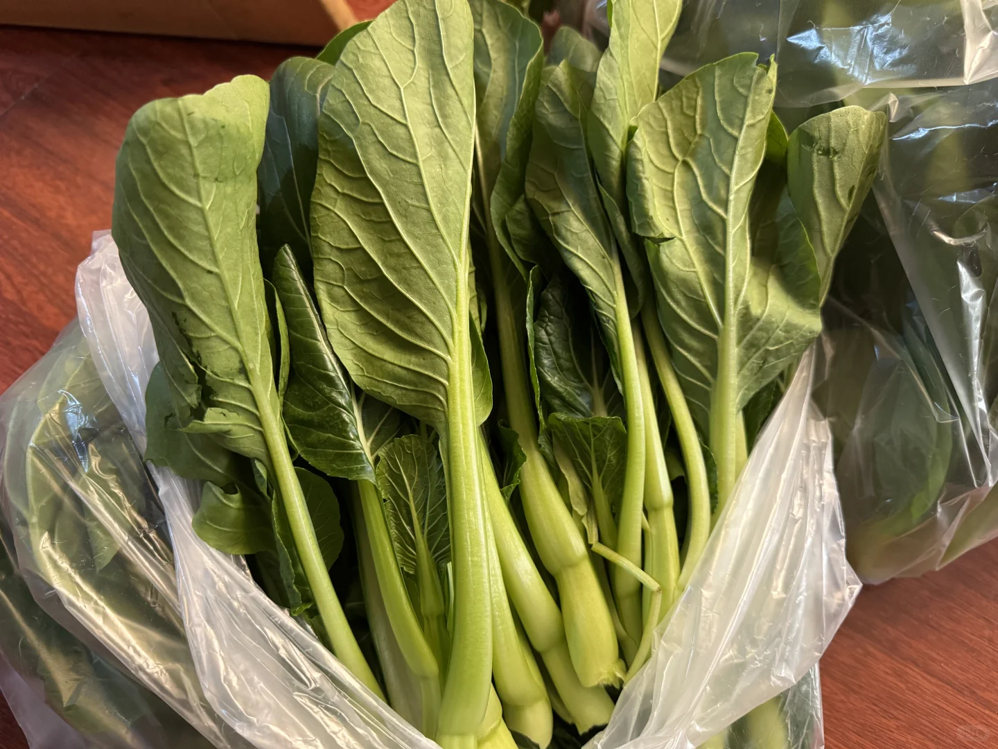 周末遛娃之采摘蔬菜，看看鸡鸭鹅和兔子