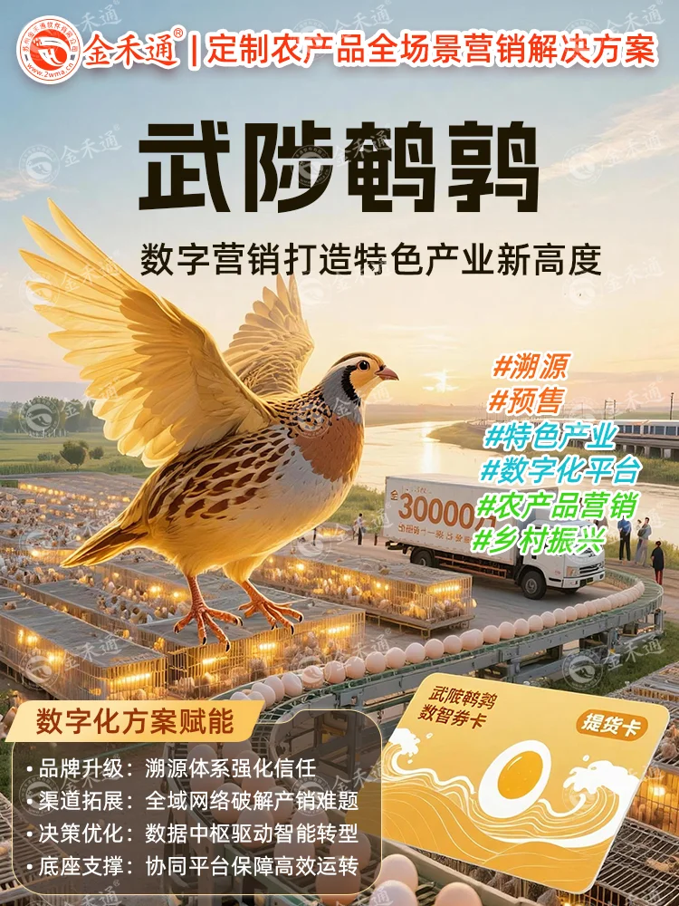 武陟鹌鹑:数字营销打造特色产业新高度