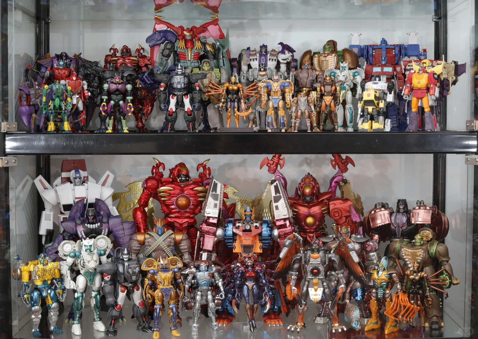 一年时间买的玩具