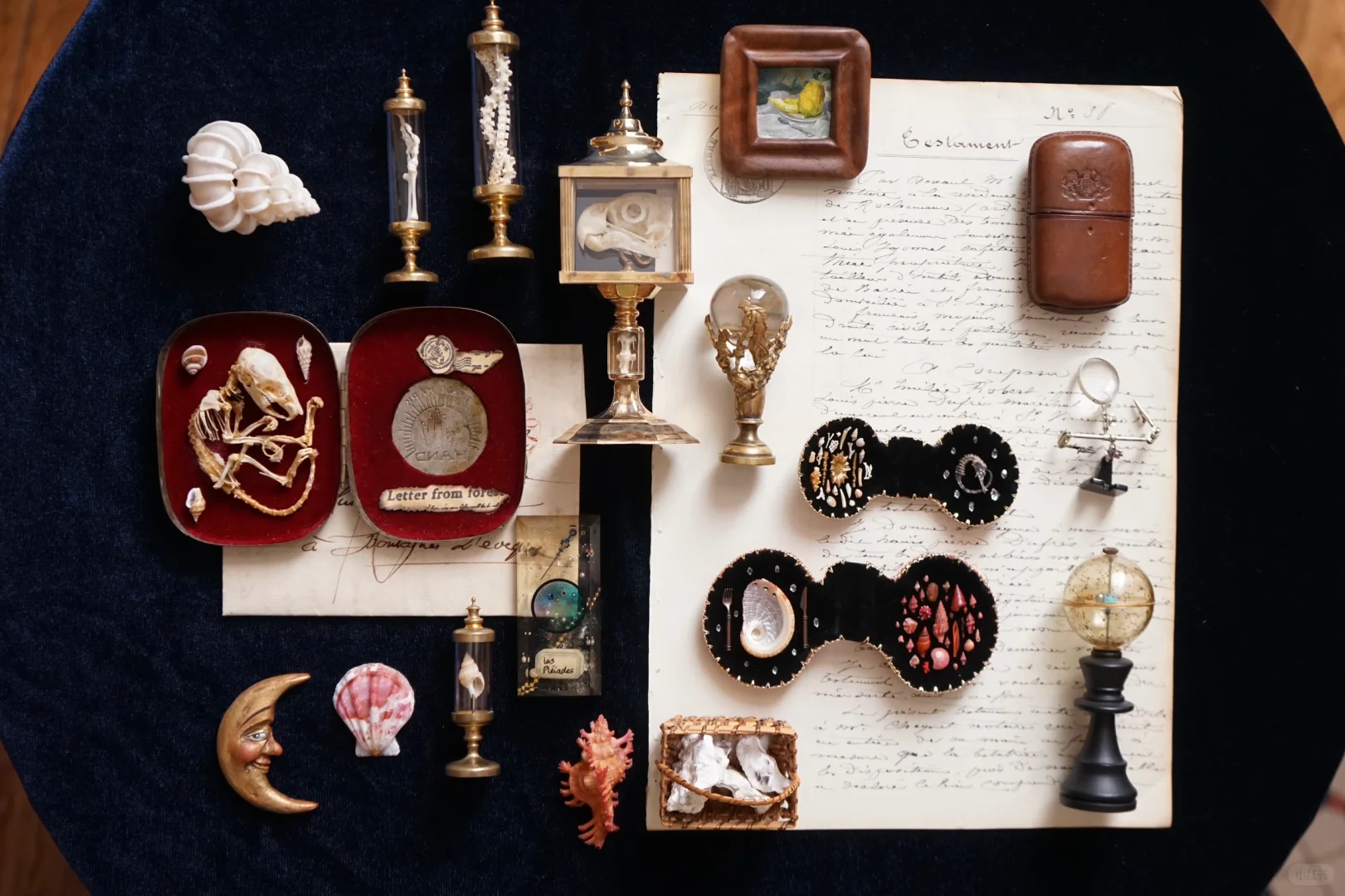 收藏｜微缩??封存的秘密?