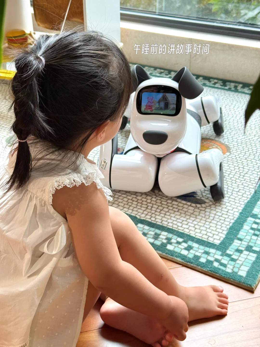 没有二胎但有小狗?恭喜女儿过上梦想童年!