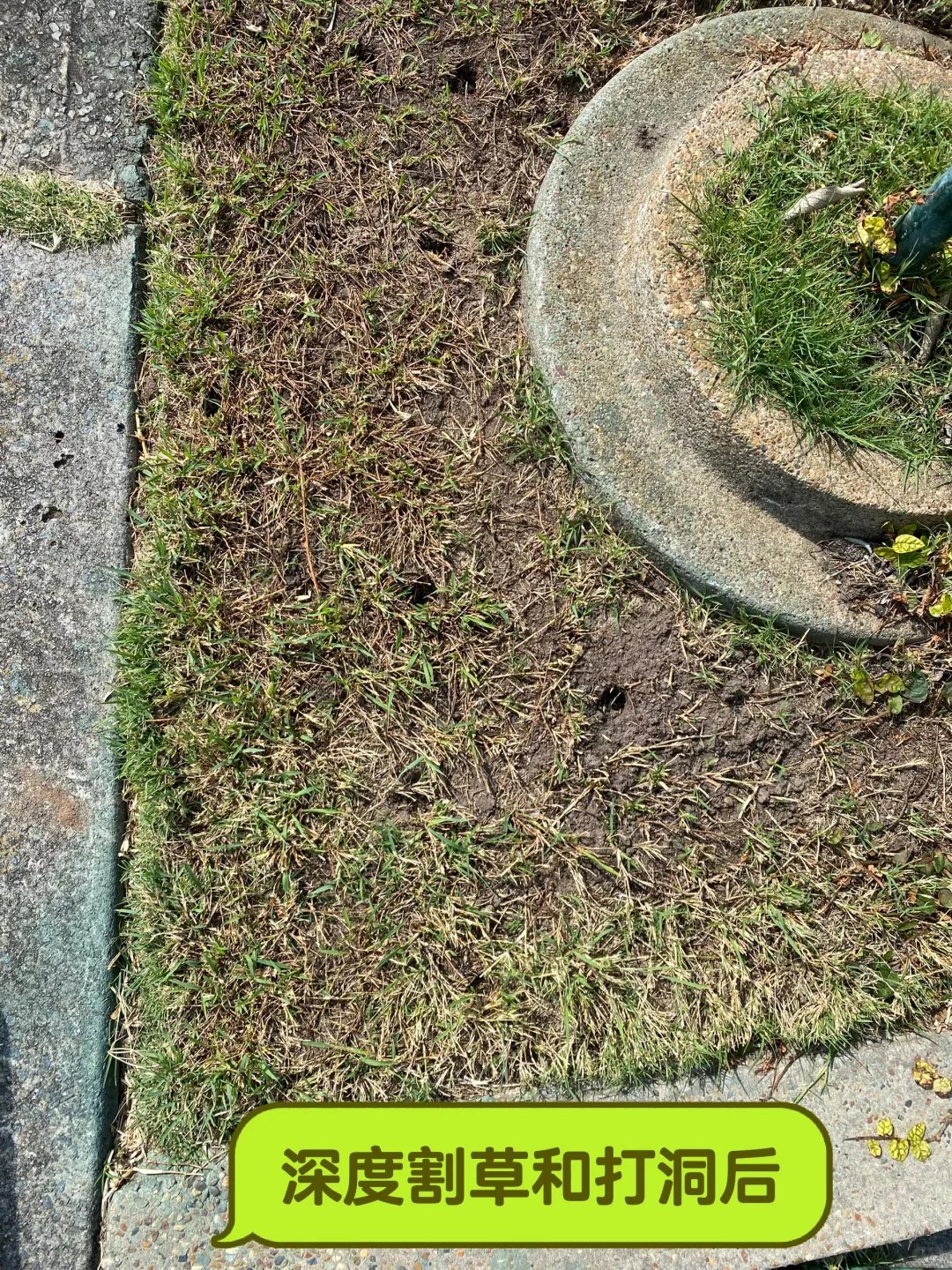 草坪修复与补给