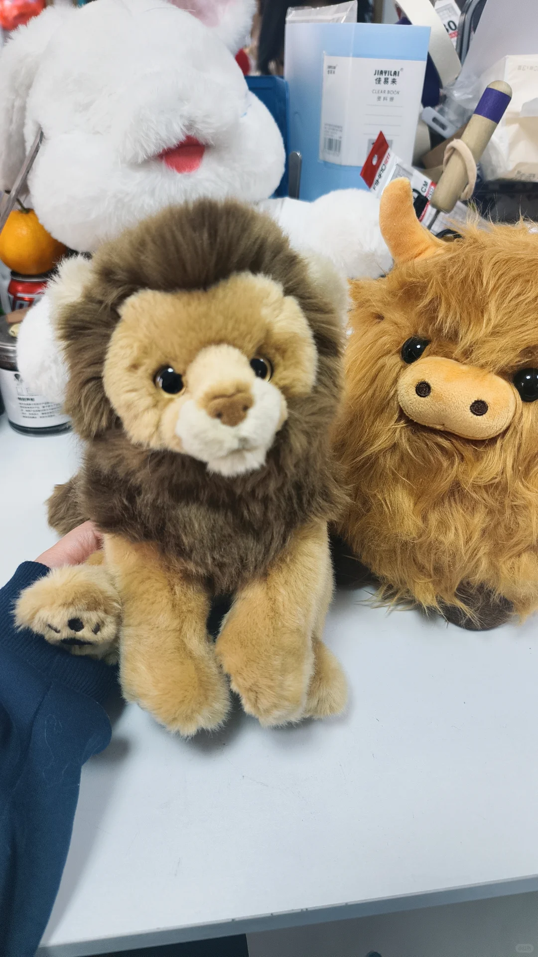 在深秋开启热爱的旅程