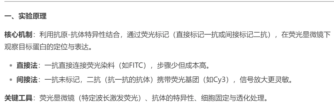 ?细胞免疫荧光实验超全攻略|新手必看✨