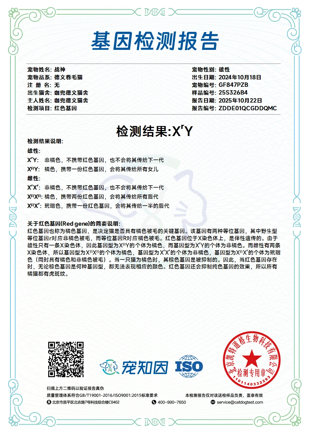 ❤️P血种公——战神? 宠知音基因检测报告