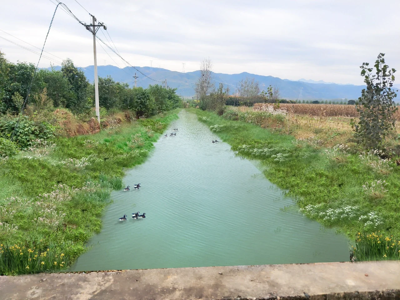 PS 一组河道生态效果图 快速出图丨接单