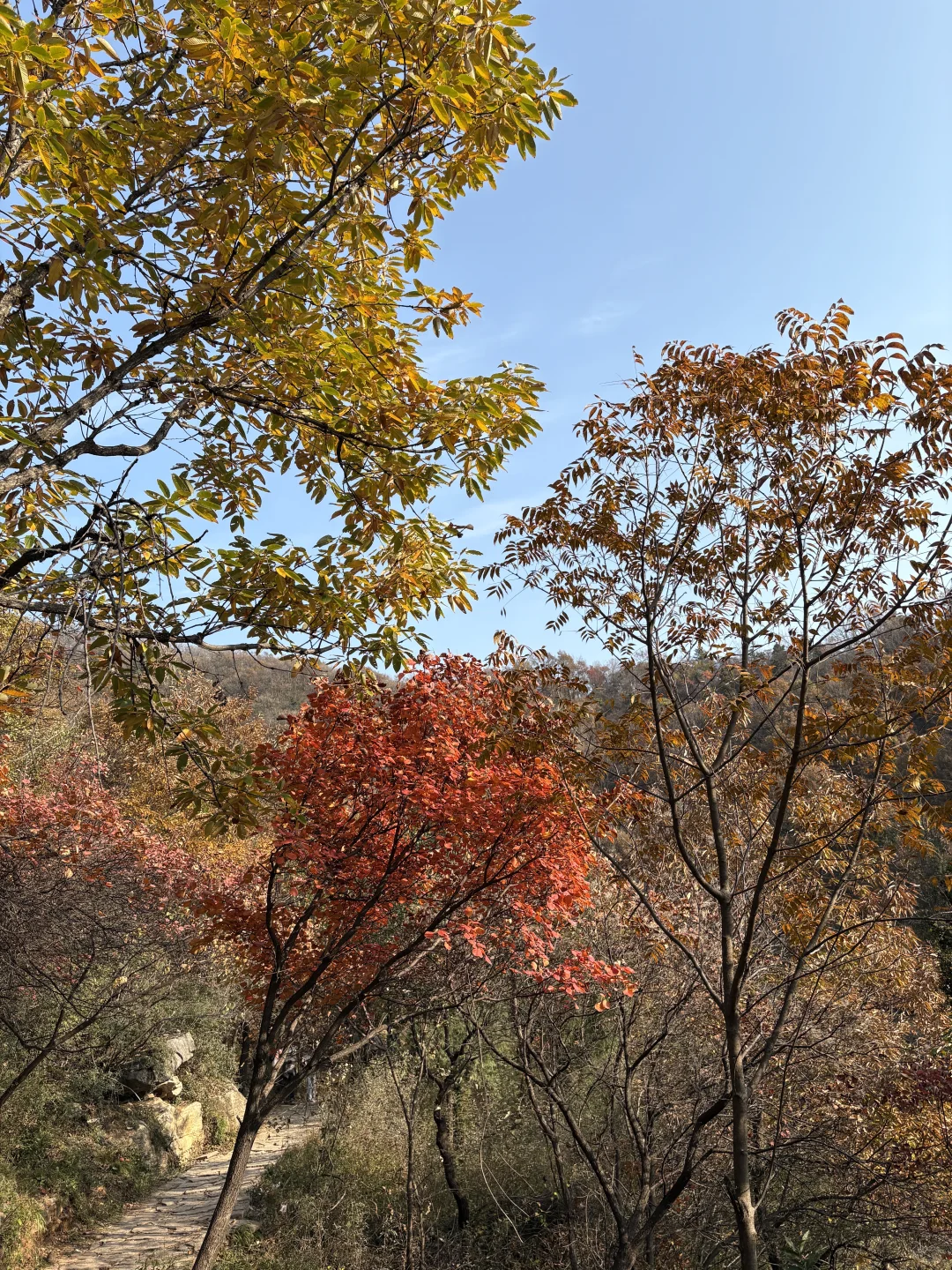 巩义达西沟赏红叶保姆级攻略?