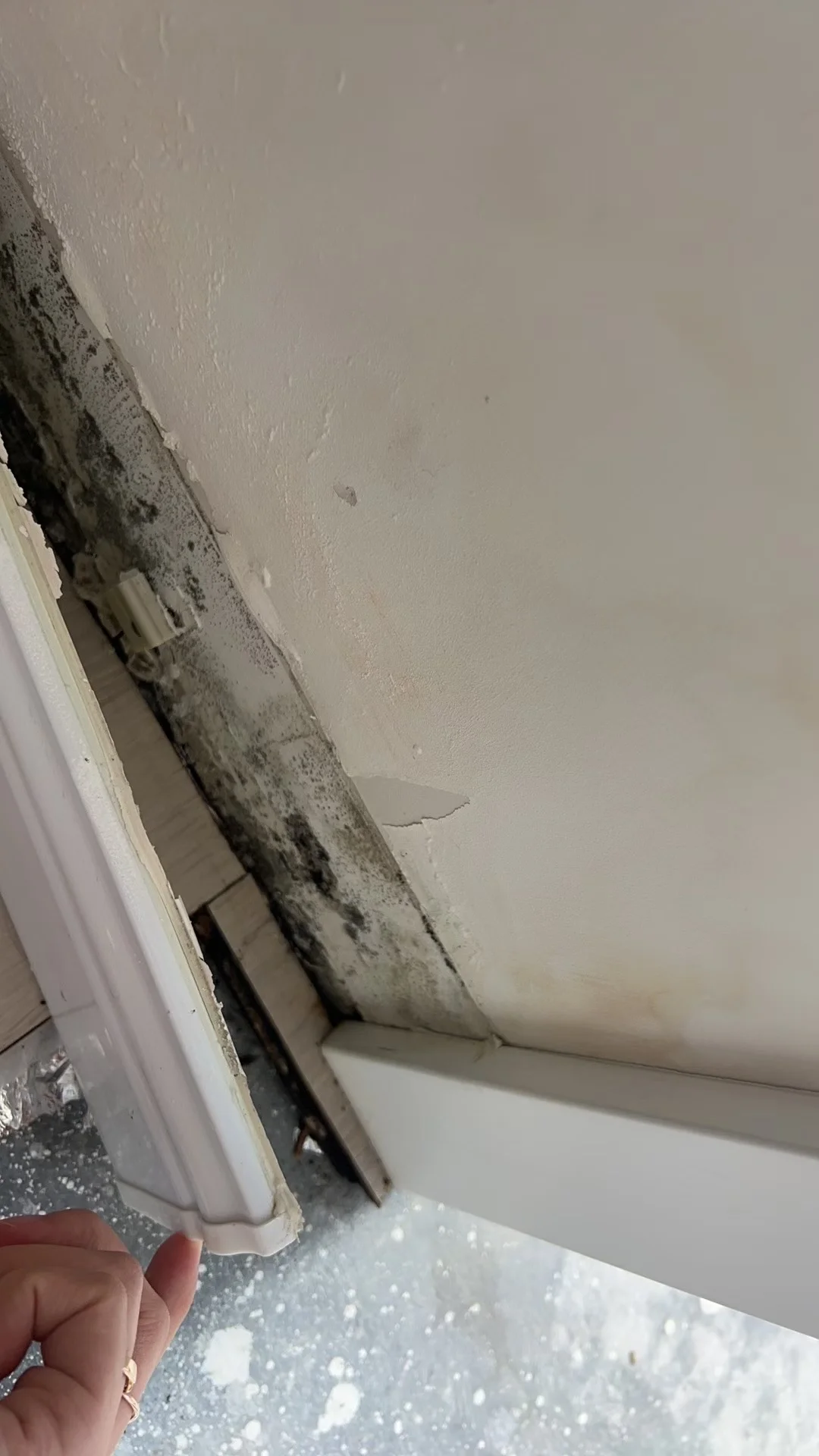 关于全屋进水，我有话要说