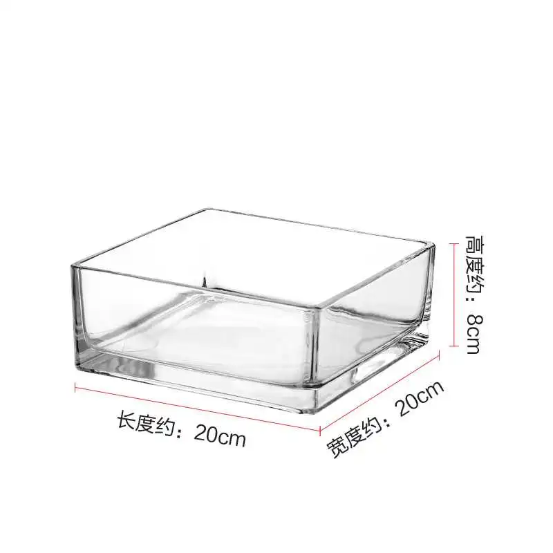 绝美加厚玻璃花瓶?我的桌面小森林