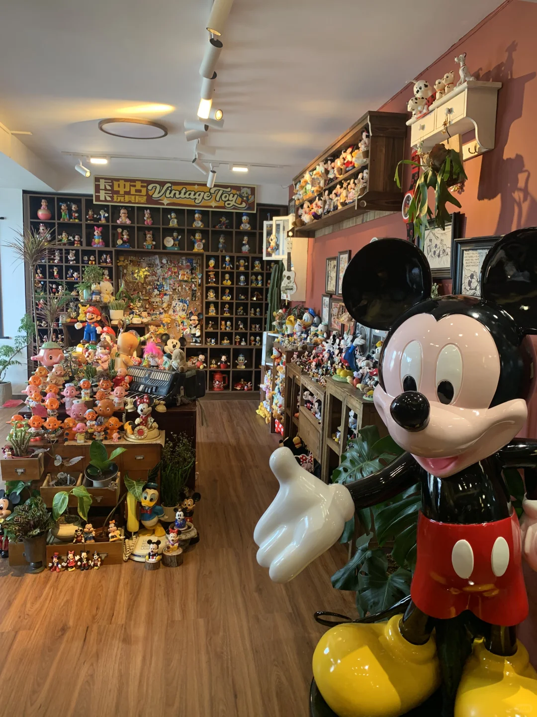 深圳新开的玩具咖啡厅…简直米奇妙妙屋！??