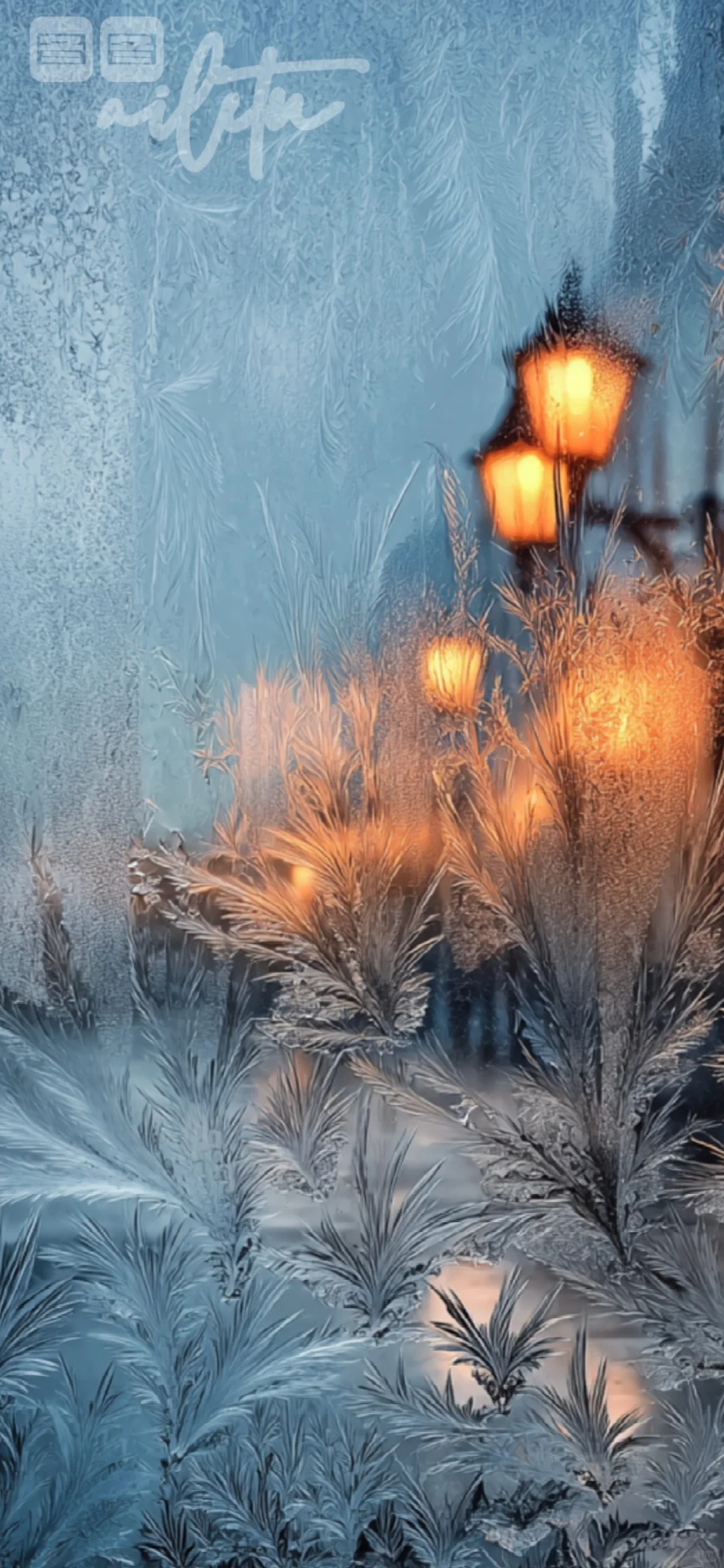 窗上霜花，城市的冬日絮语