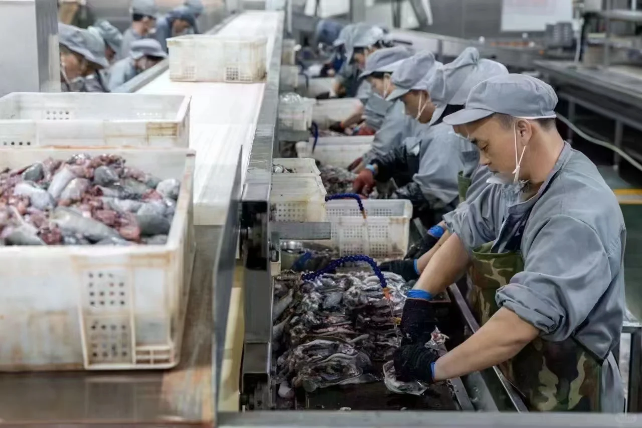 【?南丰甲鱼源头直供！工厂实拍敢透明！