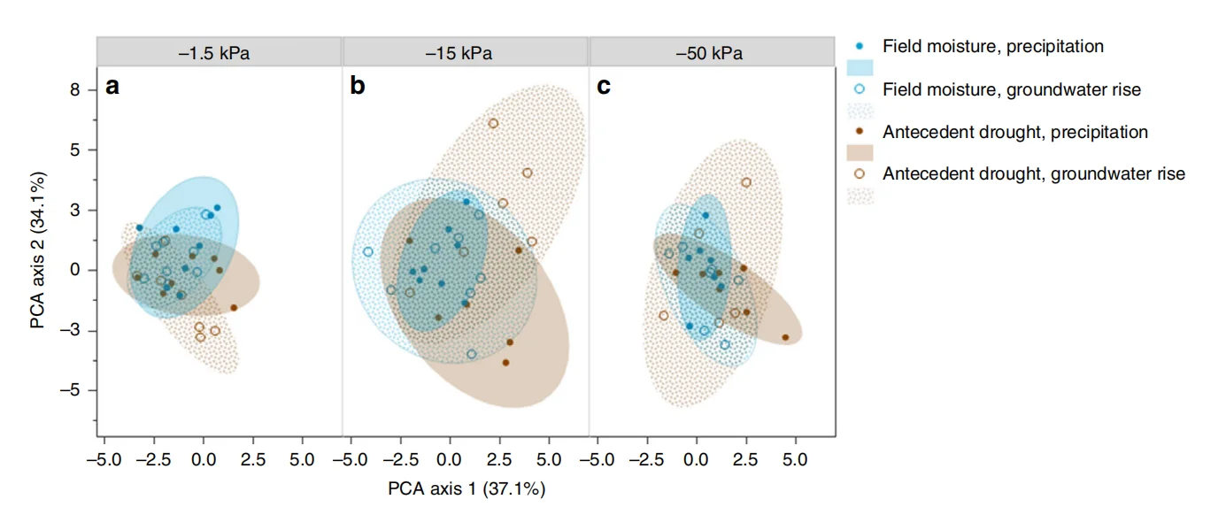 干旱及其后土壤碳(C)动态