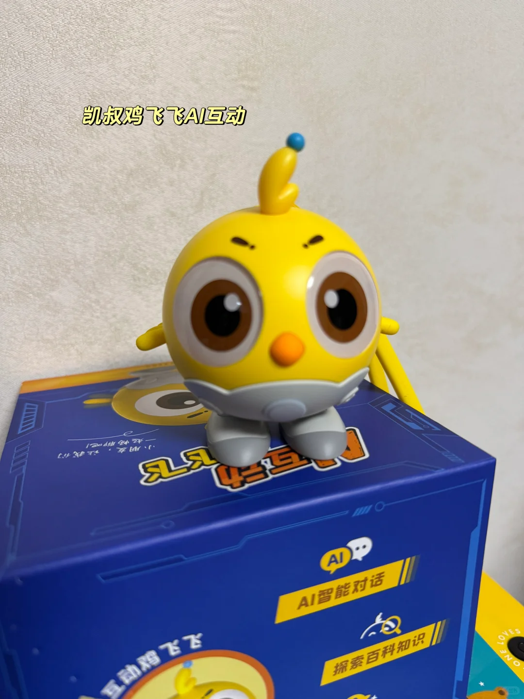 鸡飞飞和波波球留哪个?