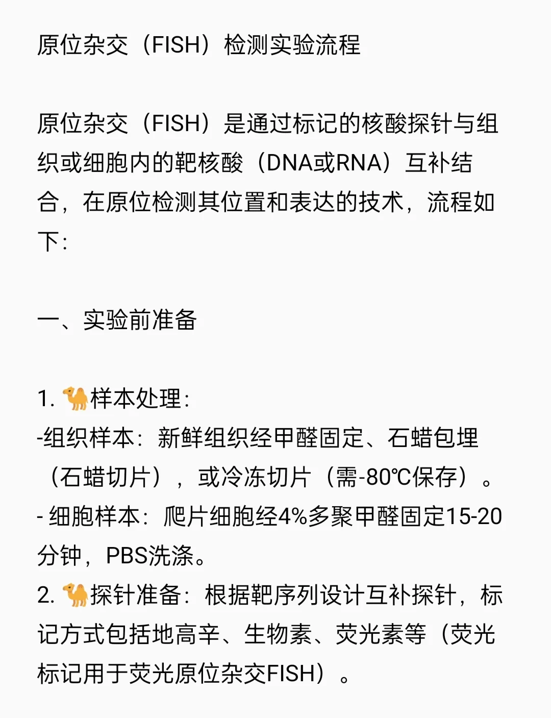 原位杂交（FISH）检测实验流程