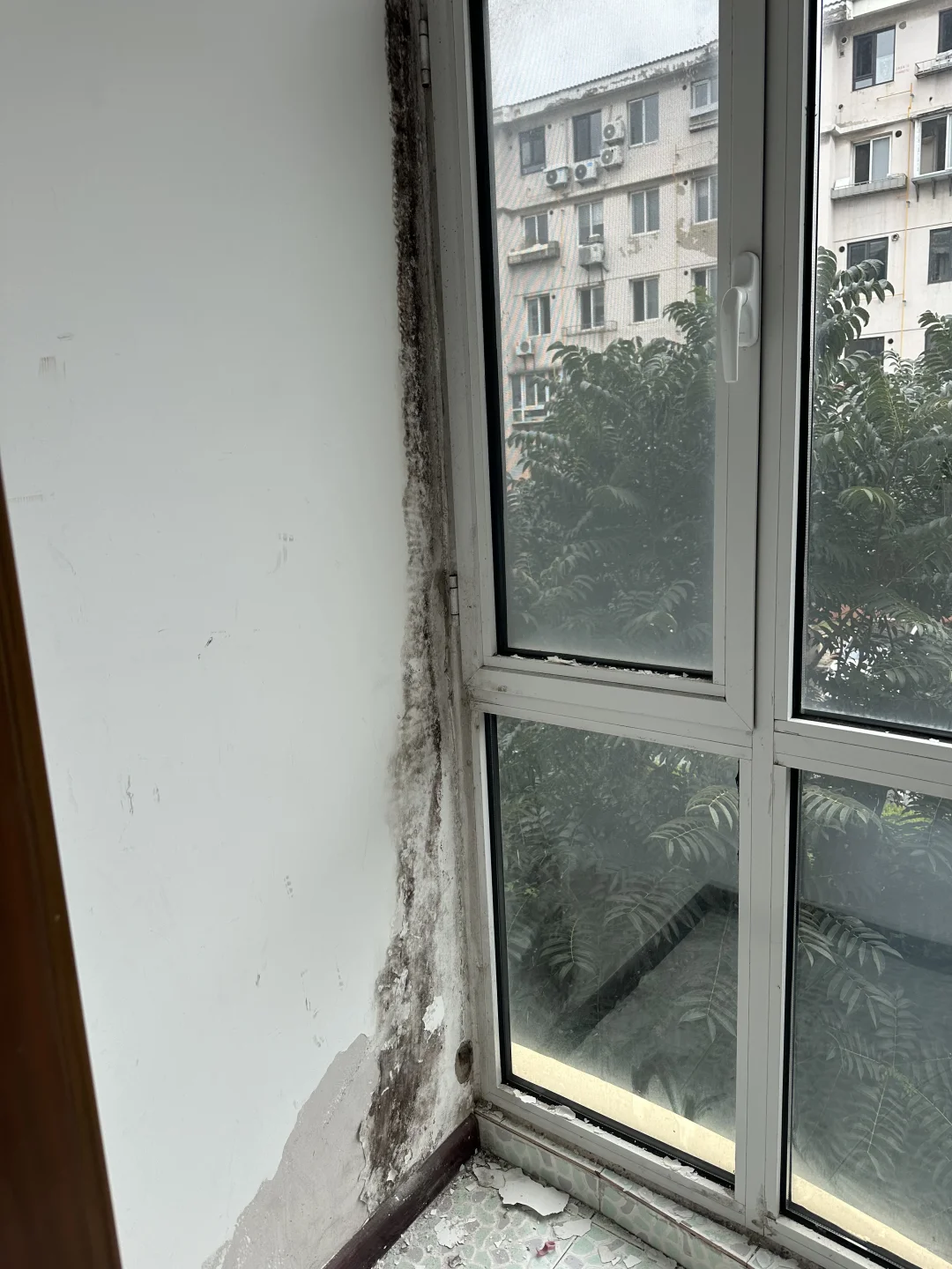 大白漏水发霉起皮脱落怎么处理效果好