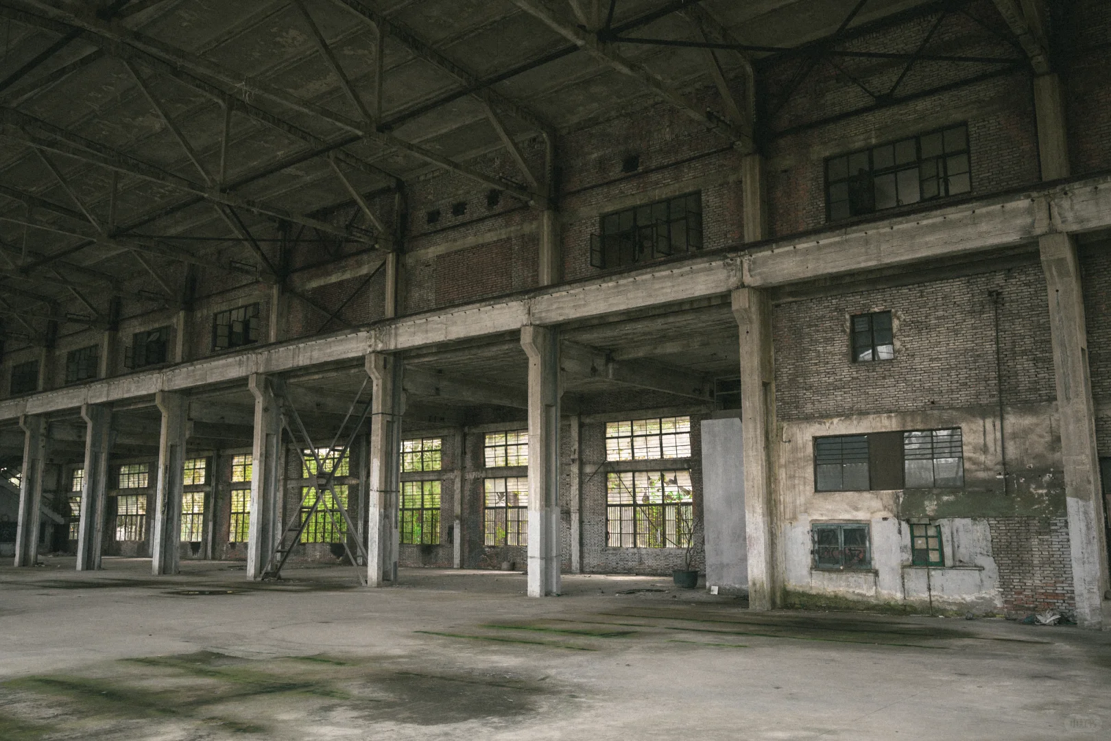 残骸与新生，大自然改造了废弃工厂