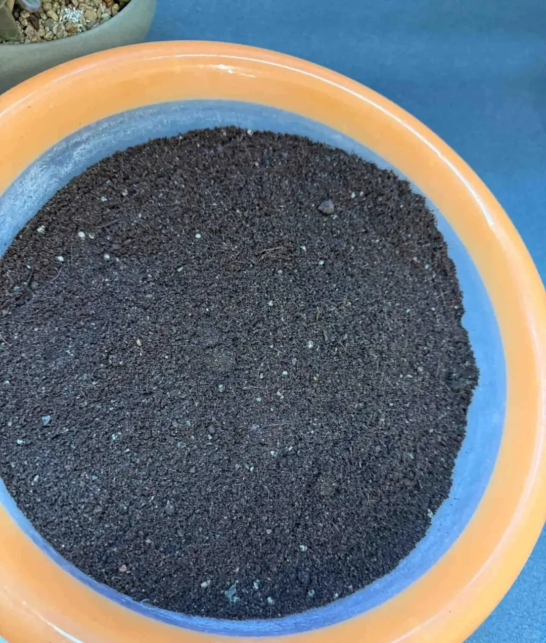 再说毒营养土和工业废土，看图学鉴别