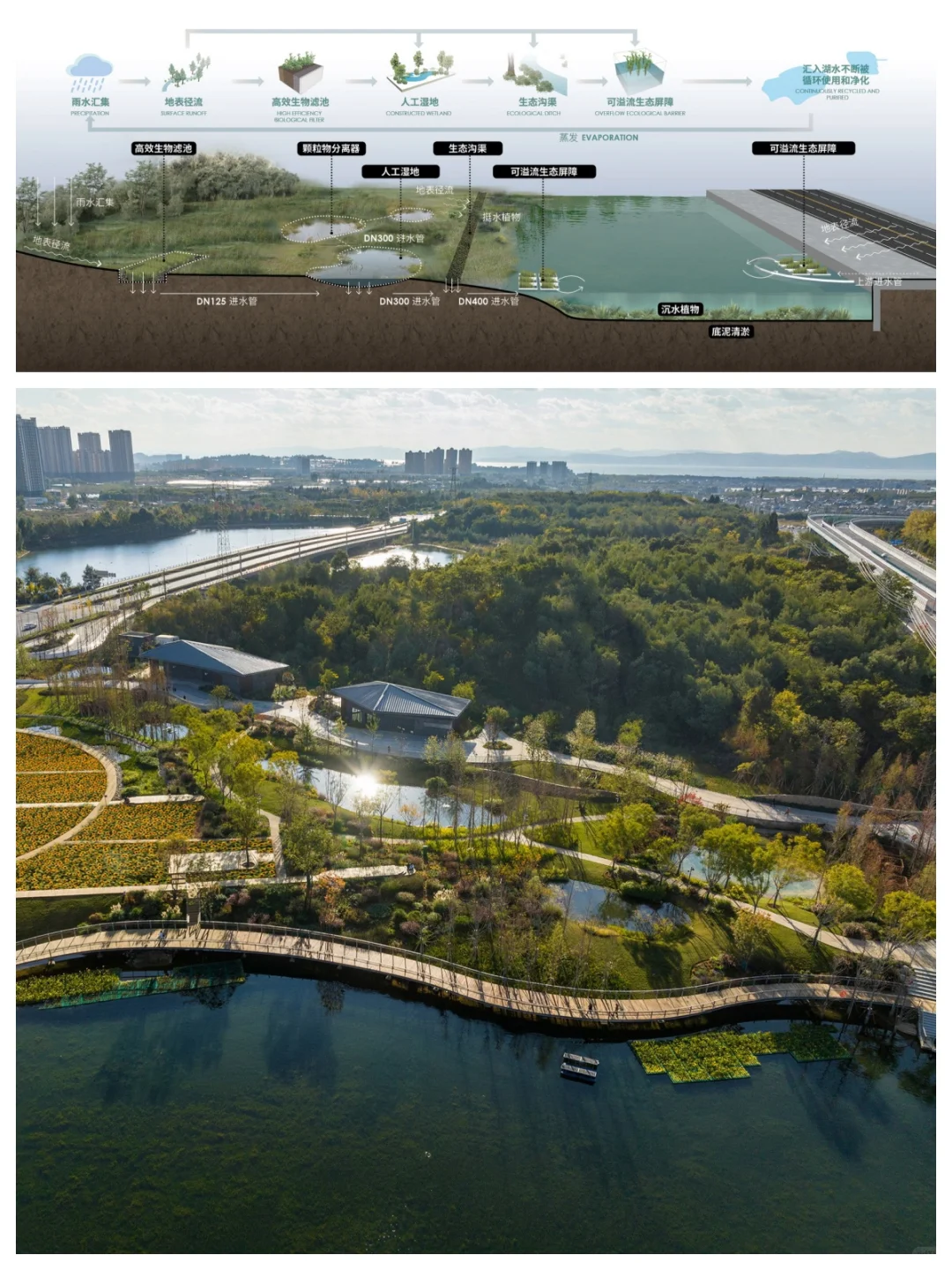 典型案例：昆明“两湖”水环境整治生态建设