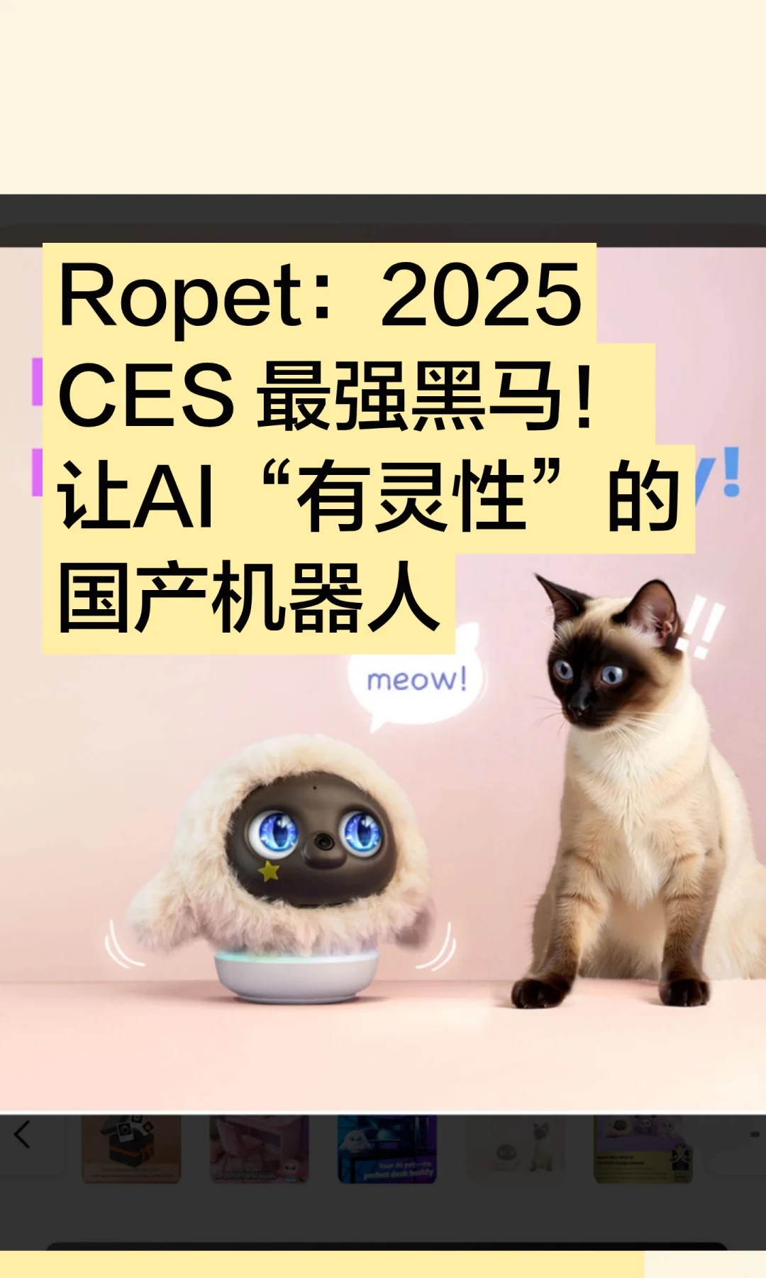 ? 国产AI黑马Ropet，靠“情绪价值”征服CES