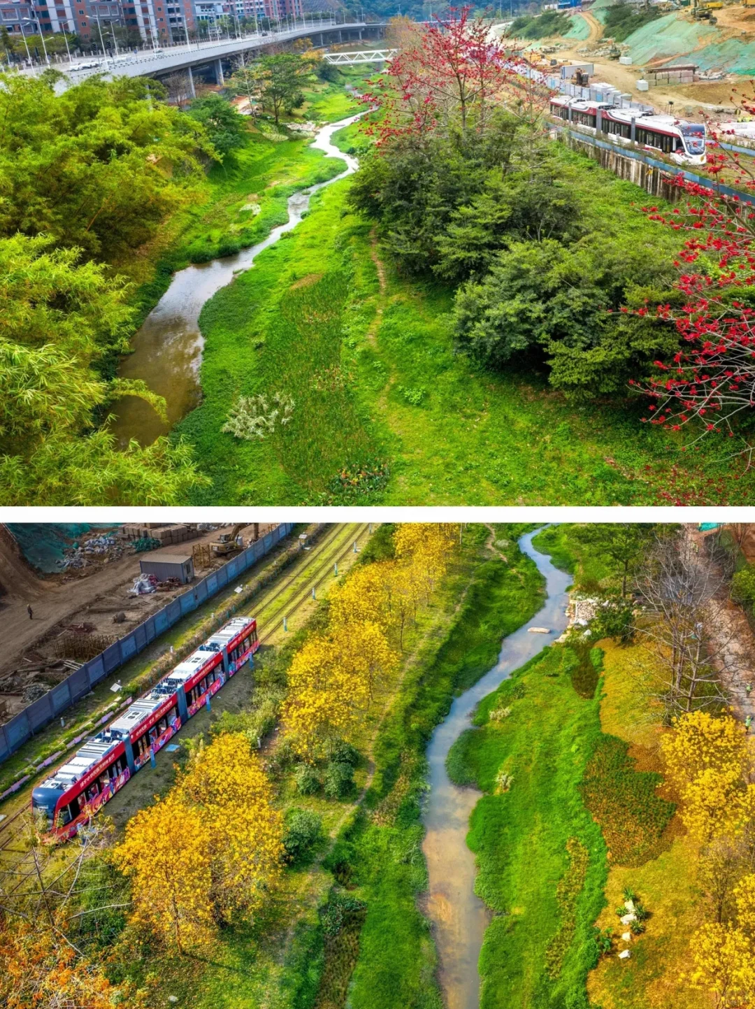 从劣五类水到幸福之河！广州黄埔南岗河更新