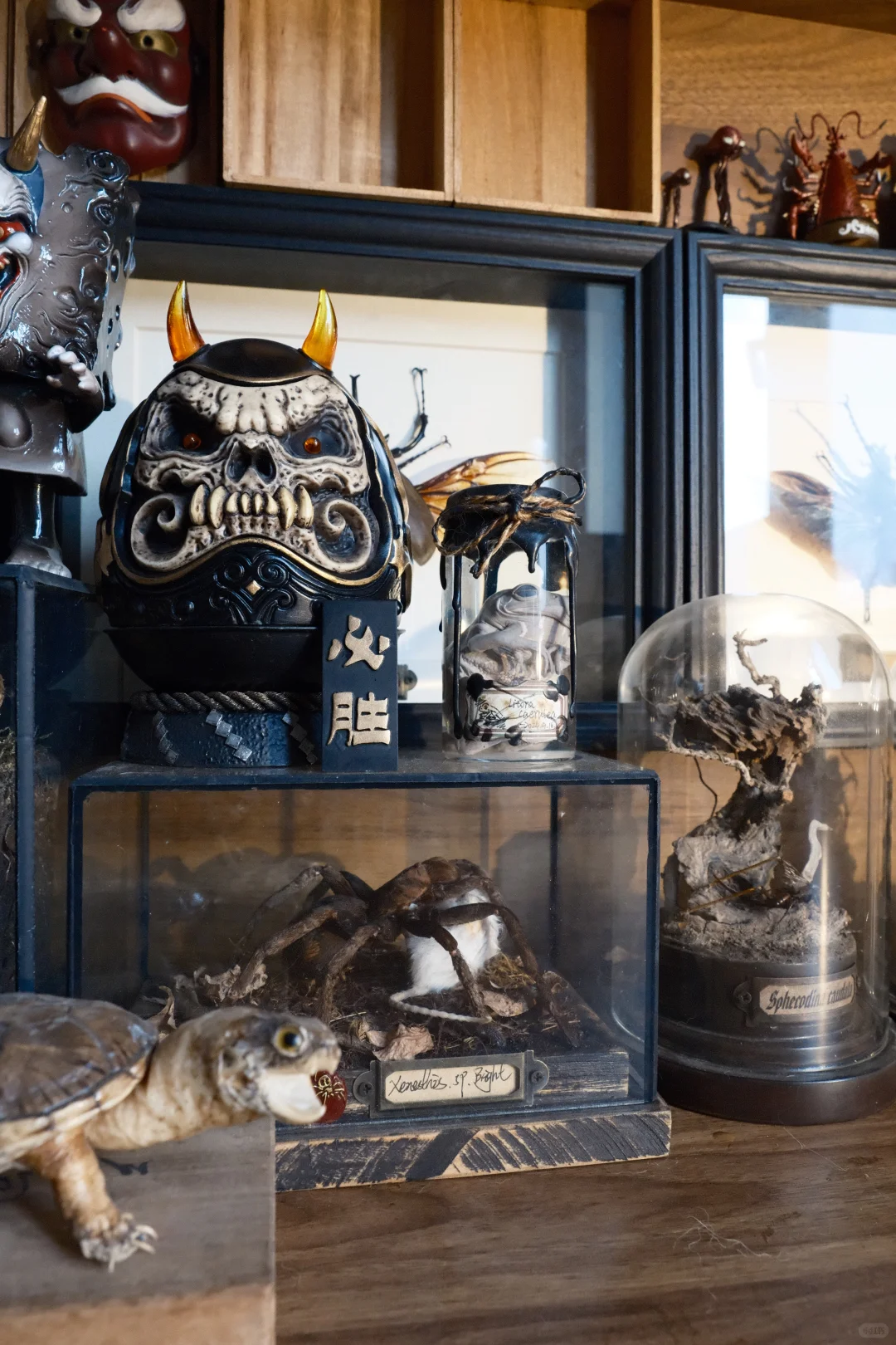 ?手办集｜拥有了一个理想中的好奇柜