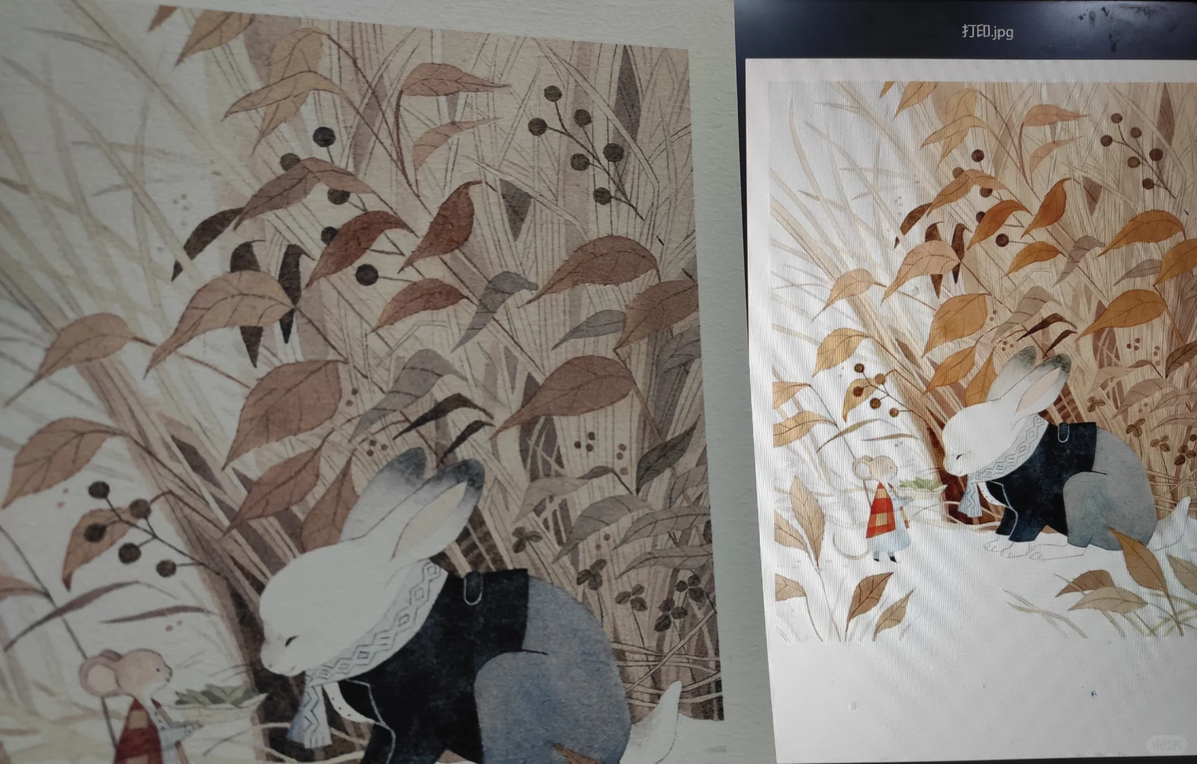 爱普生3251的纸张拓展