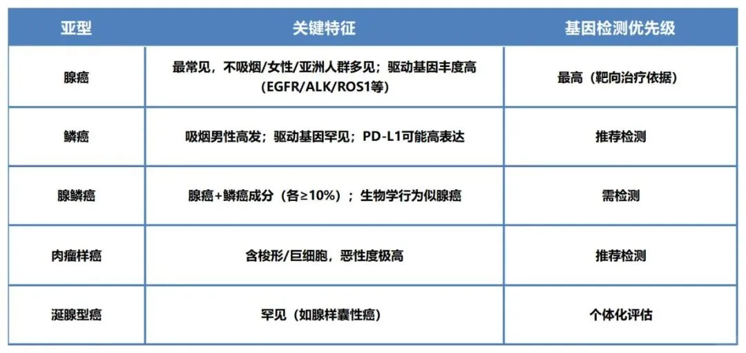 非小细胞肺癌（NSCLC）基因检测全攻略?