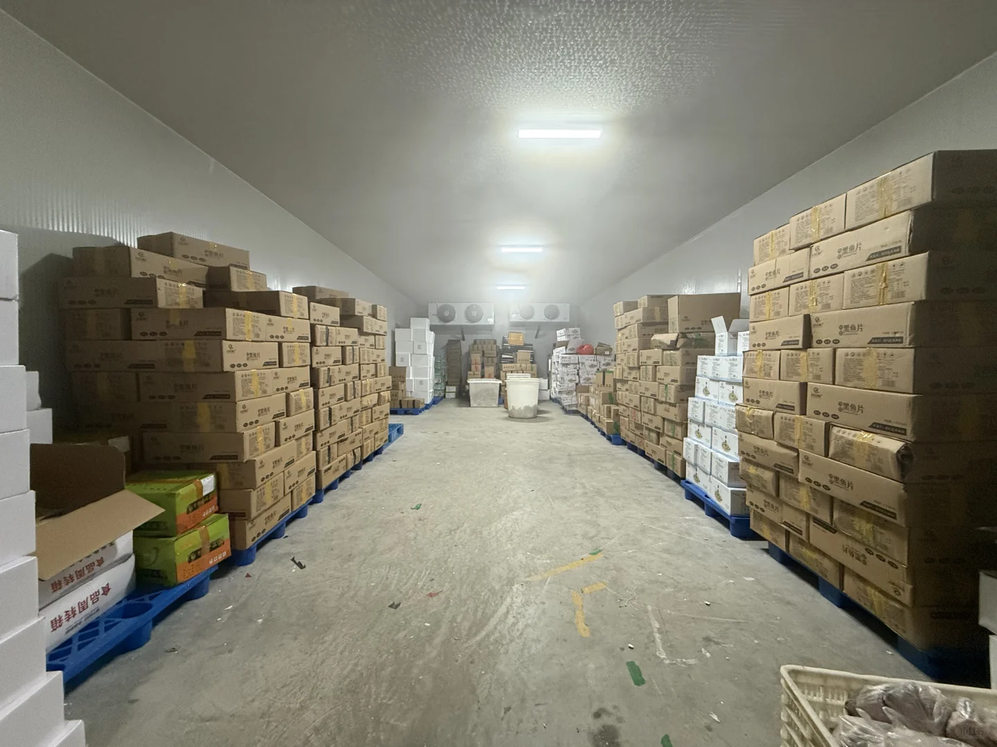 啥冷冻食品厂这么牛？让饭店出餐速度“飞”起